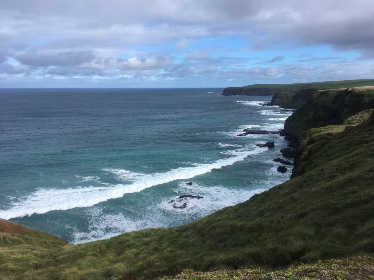 Green cliffs beside the ocean