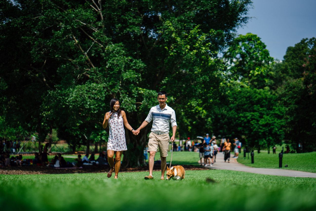 A woman and man hold hands, while walking their dog in a green park